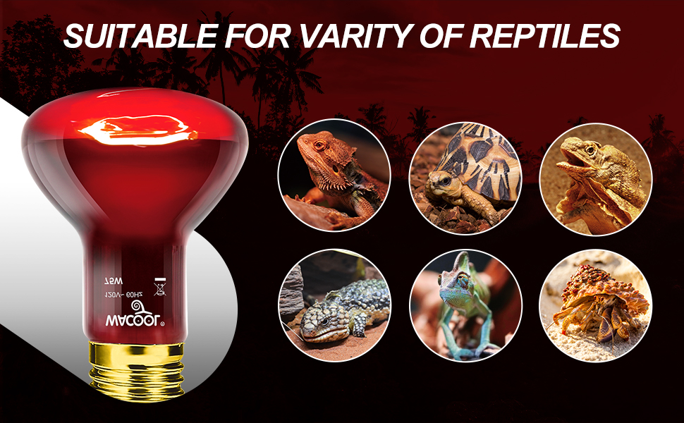 WACOOL 2 Pack Reptile Heat Lamp Bulbs,75w Infrared Basking