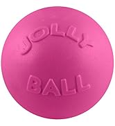 Jolly Pets Bounce-n-Play Dog Toy Ball, 8 Inches, Pink, All Breed Sizes