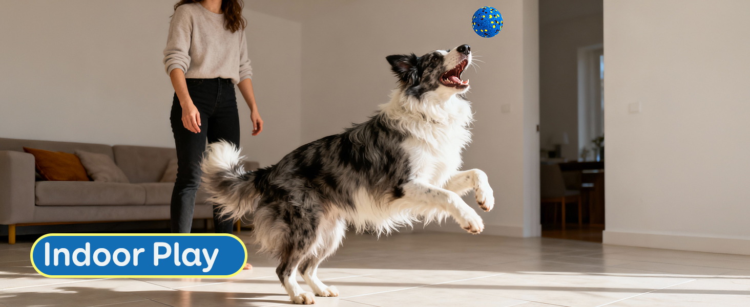 dog balls for large dogs