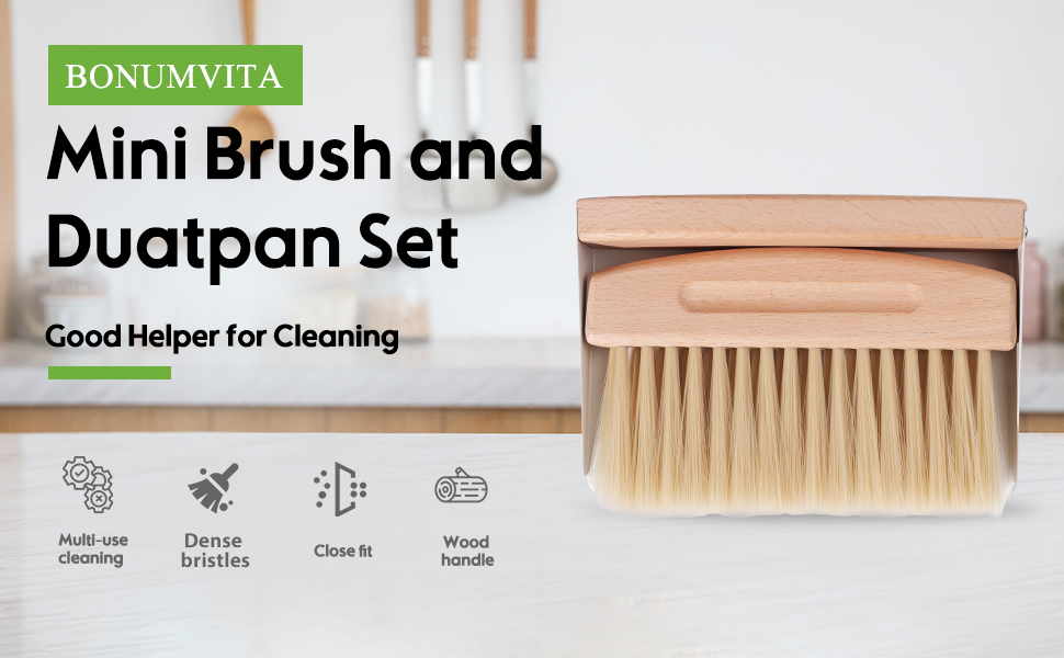 Small Dustpan and Brush Set