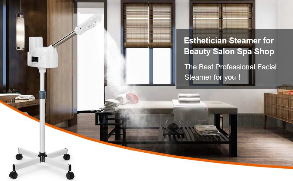 Esthetician Steamer