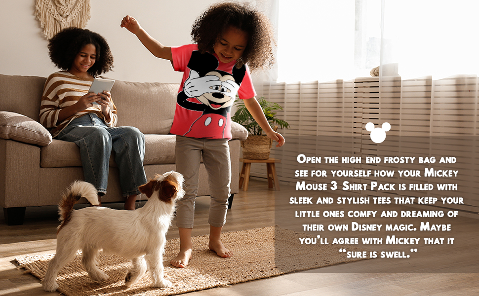 Open the high end frosty bag and see for yourself how your mickey mouse 3 shirt pack