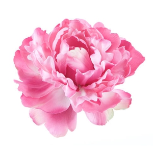 Peony