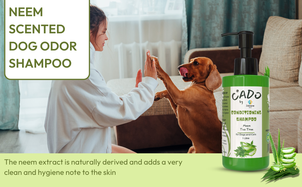 Buy ZOIVANE Cado Neem Dog Shampoo 1 L Dog Anti Dandruff Shampoo