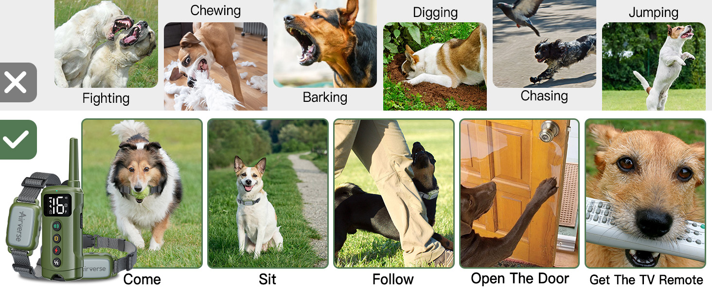 dog shock collar with remote