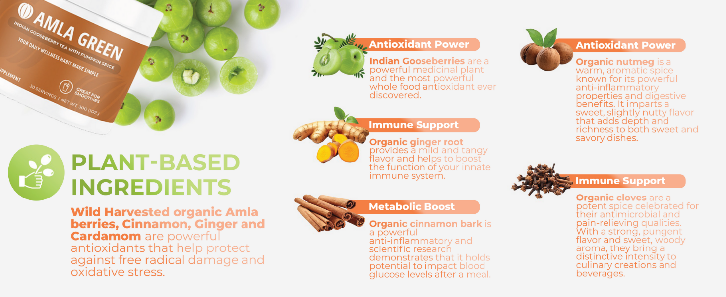 Amla Green powder indian gooseberry pumpkin