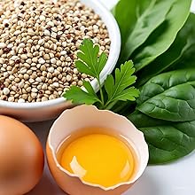 B-Complex Vitamins for Brain & Energy