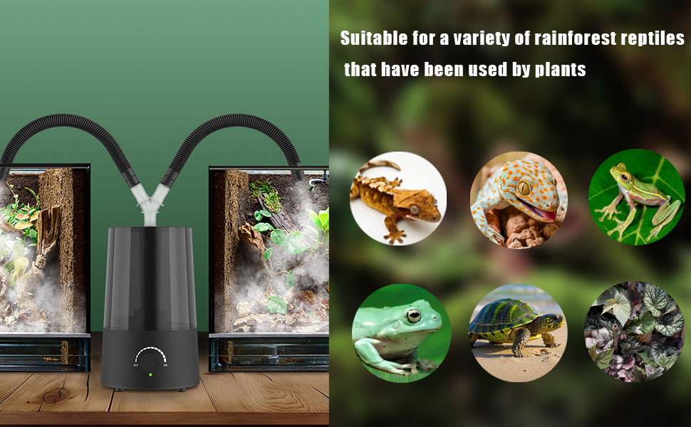 reptile humidifier fogger