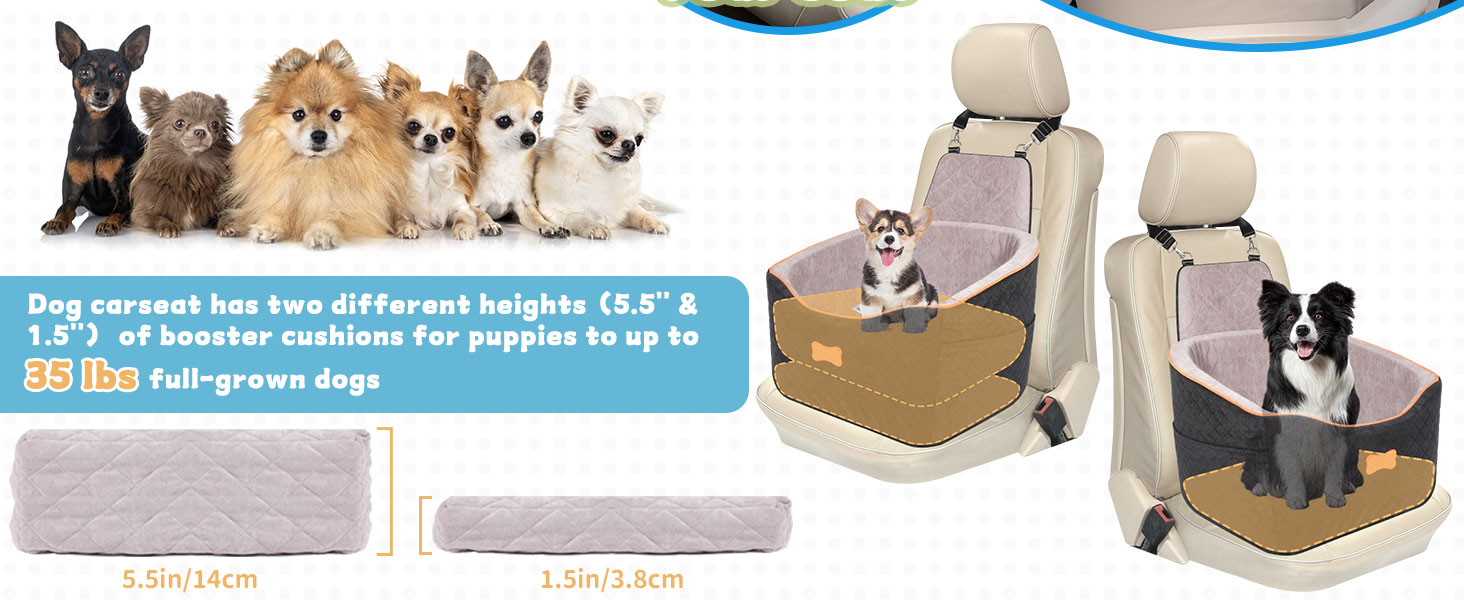 dog car seat medium sized dog