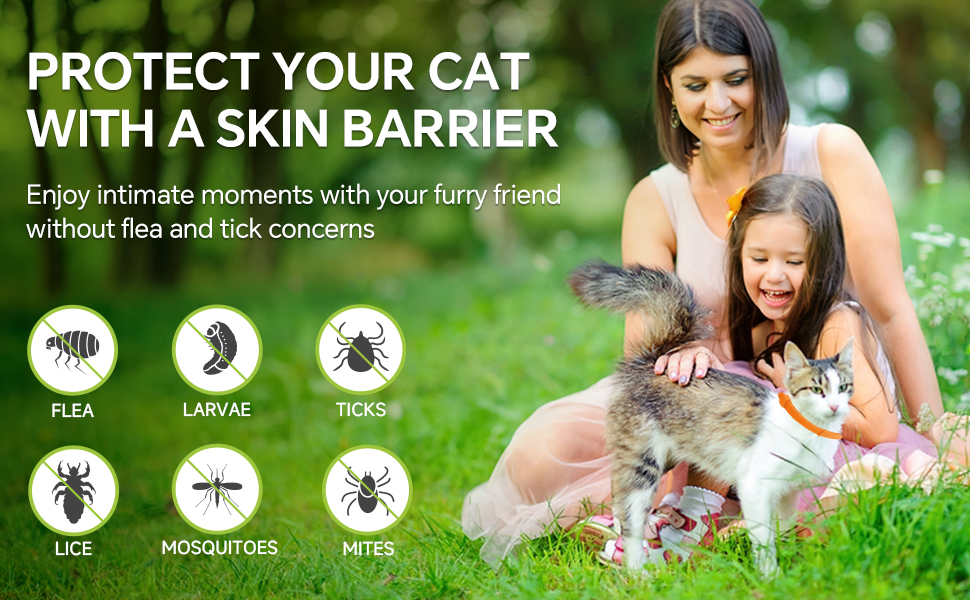 Woyamay 4 Pack Flea Collar for Cats, Safe & Natural Flea