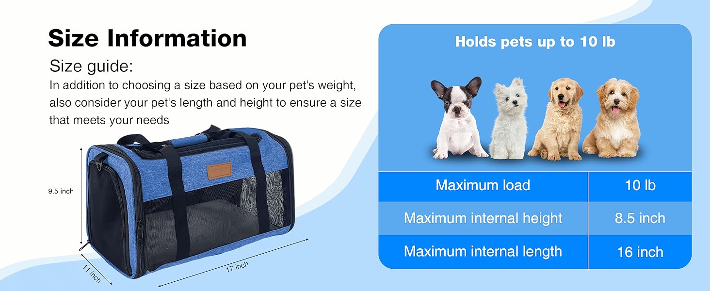 dog carrier for small dogs