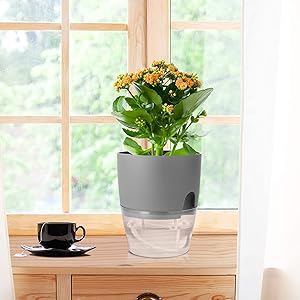 herb rack kitchen