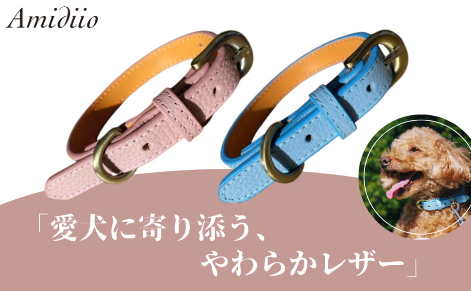Amazon | Amidiio（アミーディオ） 犬 首輪 小型犬 革 【愛犬に