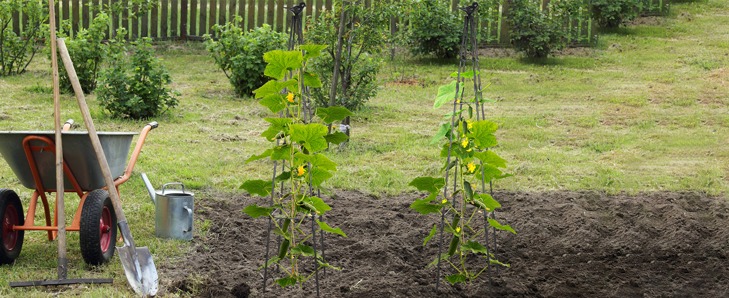  obelisk trellis for climbing plants