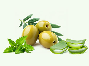 Small manufacture image 4