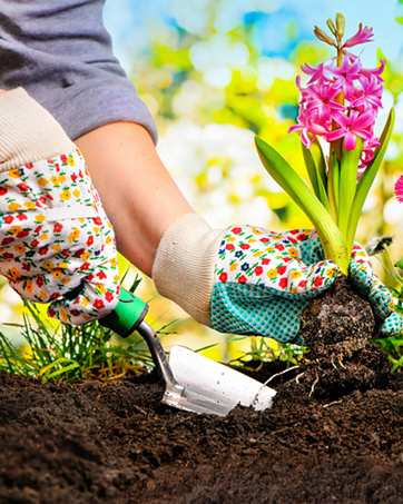 garden sets