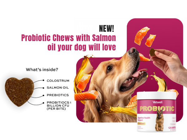 salmon chews