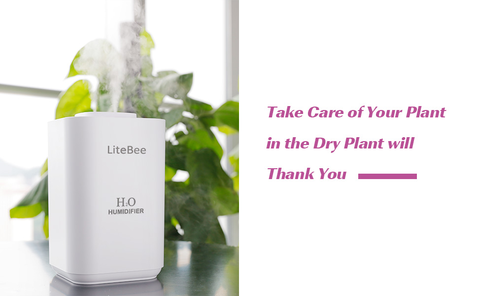 diffusers for home
