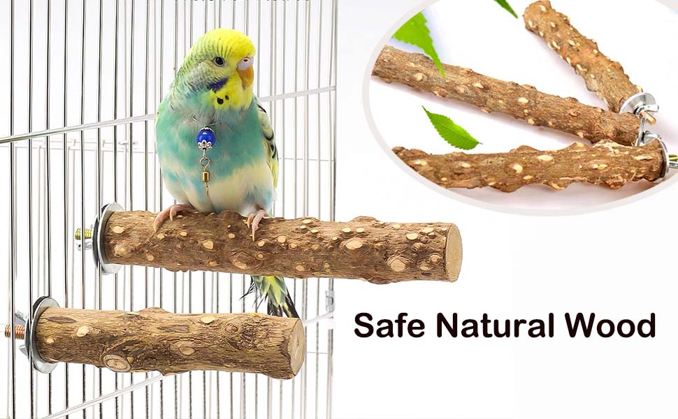 Natural Bird Perch Stand with Suction Cup for Window