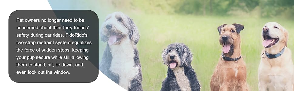 washable camping pillow essentials necessities canastas straps lavable leashes driving lightweight