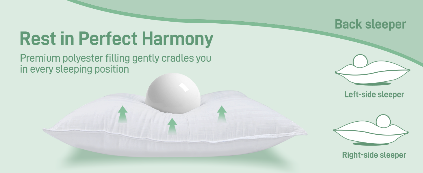 Rest in Perfect Harmony