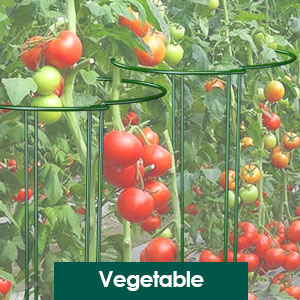 plant stakes for outdoor plants