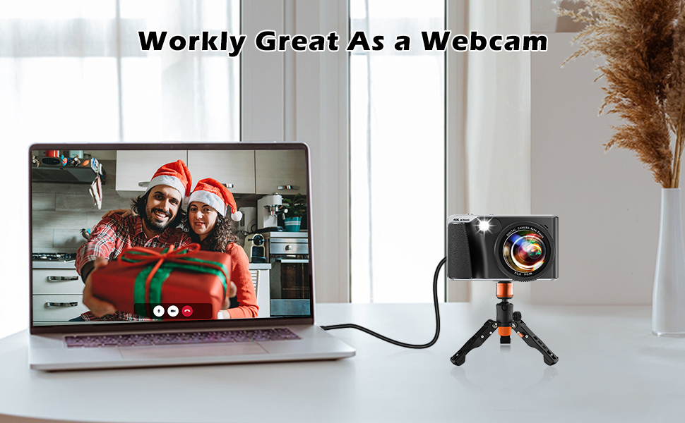 Webcam