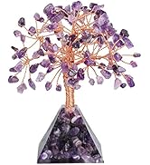 rockcloud Amethyst Crystals Money Tree Feng Shui Tree with Amethyst Pyramid Crystal Base Decorati...