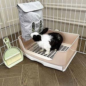bunny litter box