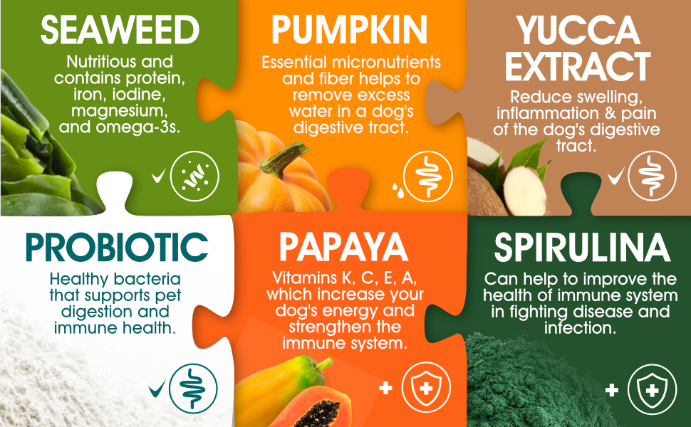 Probiotics for Dogs Support Gut Health, Itchy Skin