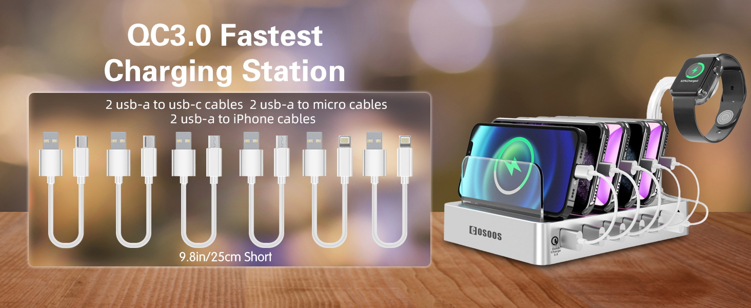 fast type c charger for iPhone 14 13 12 mini 12 Pro 12 Pro Max iPhoneSE ipad charging station