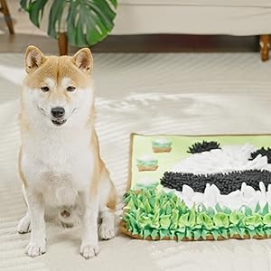 snuffle mat for dog