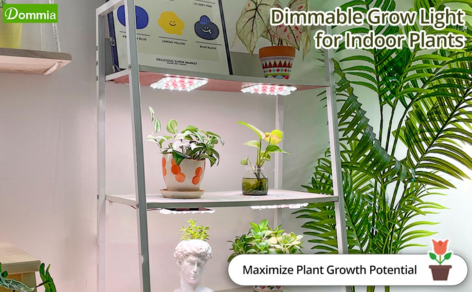 grow light
