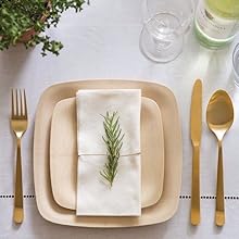 palm leaf plates