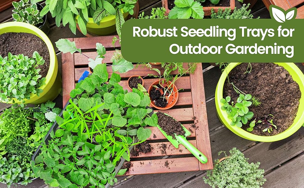 seed tray