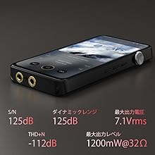 Amazon.co.jp: 【VGP2023SUMMER受賞】iBasso Audio DX320