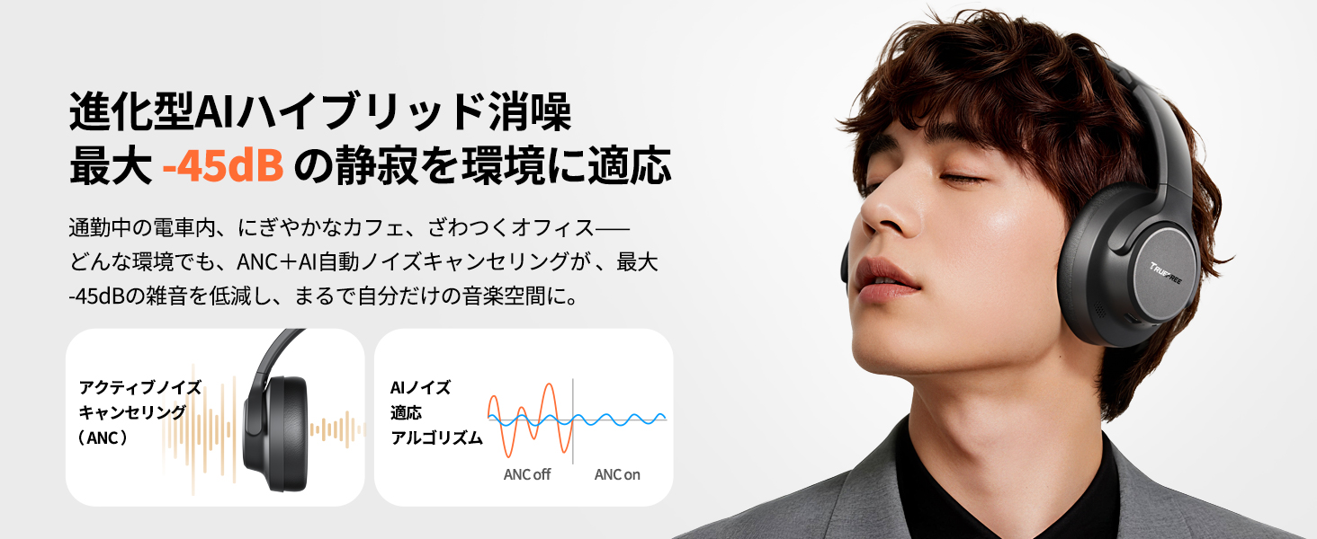 ハイブリッドノイキャン