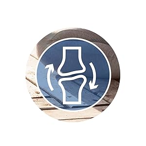 huesos, articulaciones, músculos