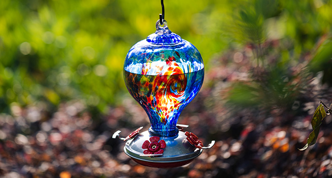 hummingbird feeders for outdoors