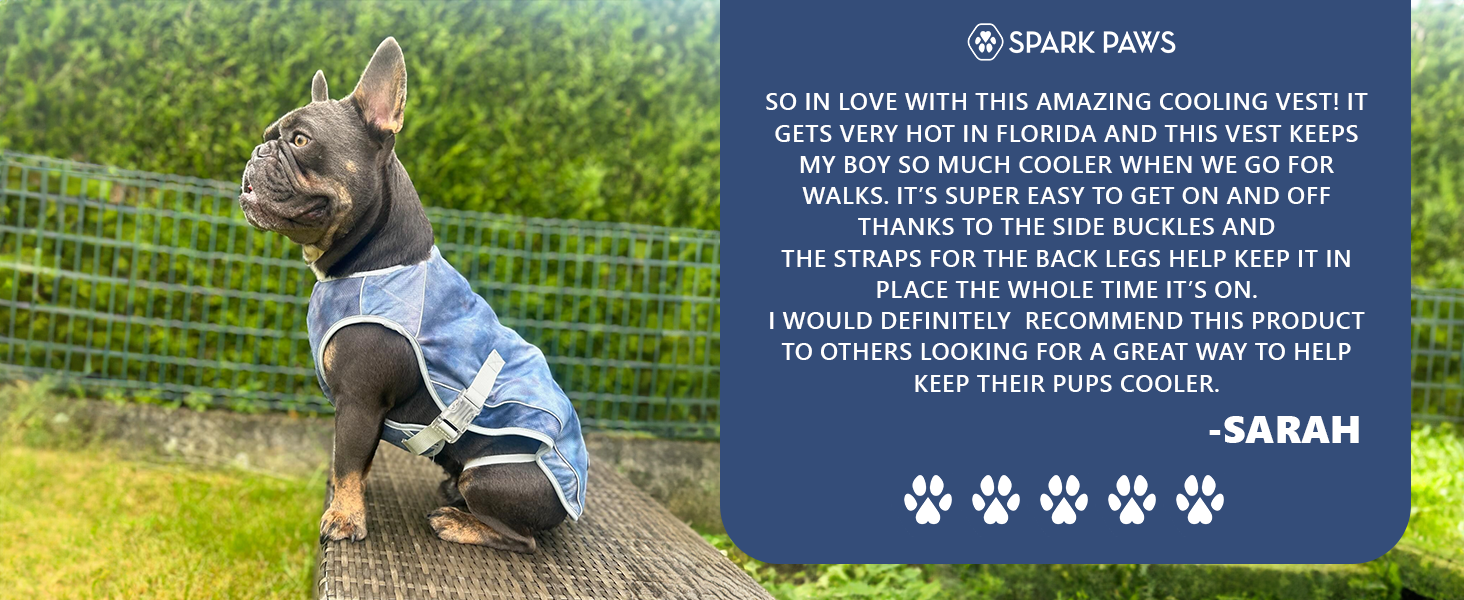 spark paws cooling vest for dogs summer outdoor dog essential heatwave must have