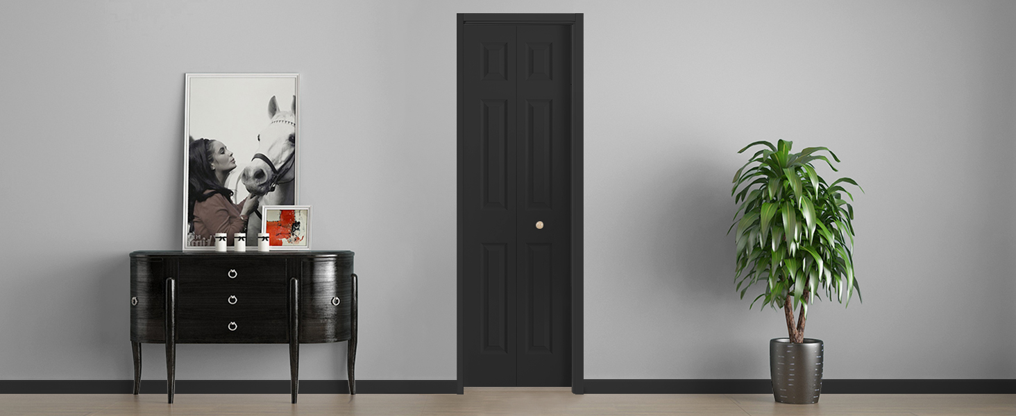 bifold door