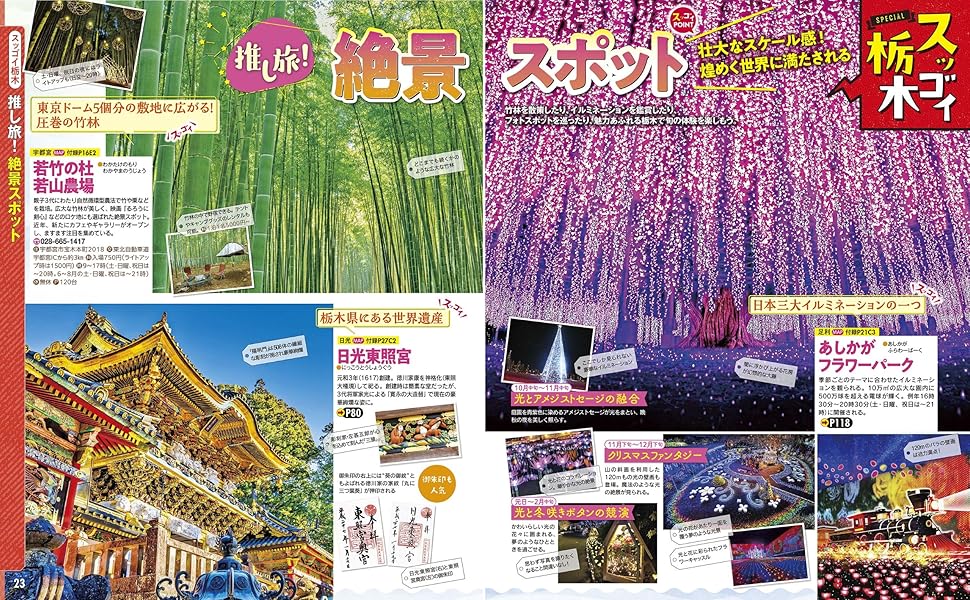 るるぶ栃木 宇都宮 那須 日光'25 (るるぶ情報版) | JTB