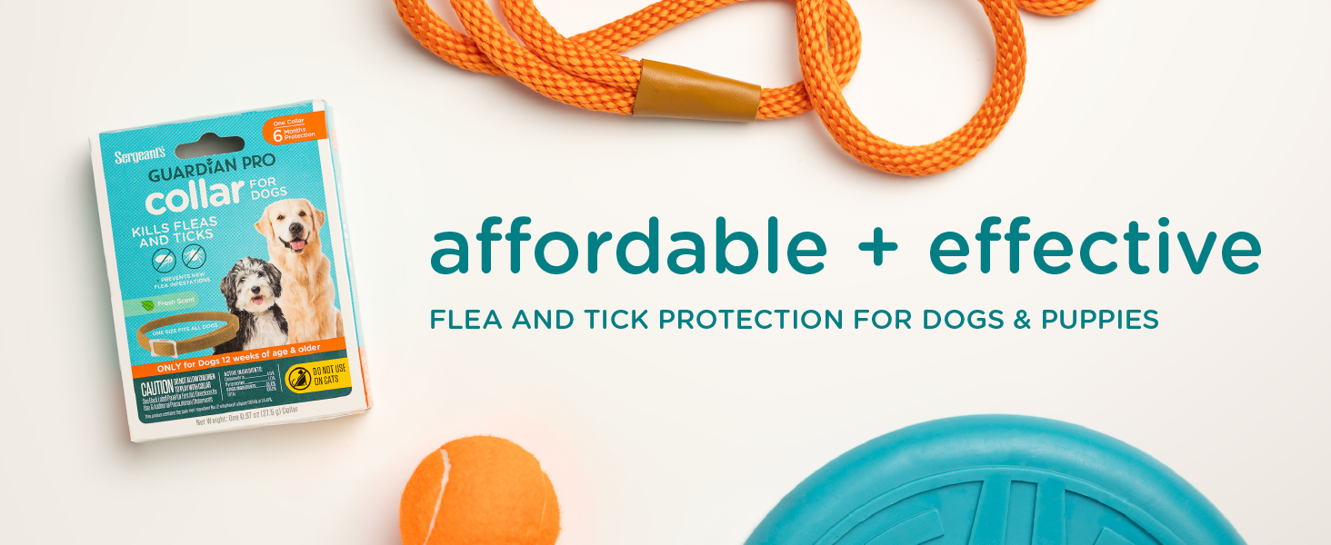 Affordable flea and tick protection for dogs