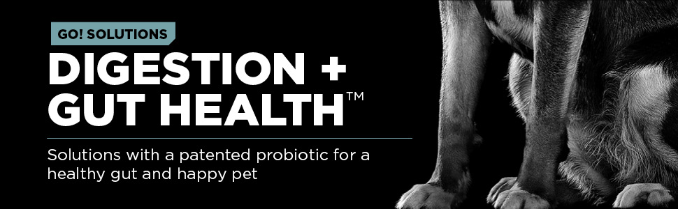 Digestion and Gut