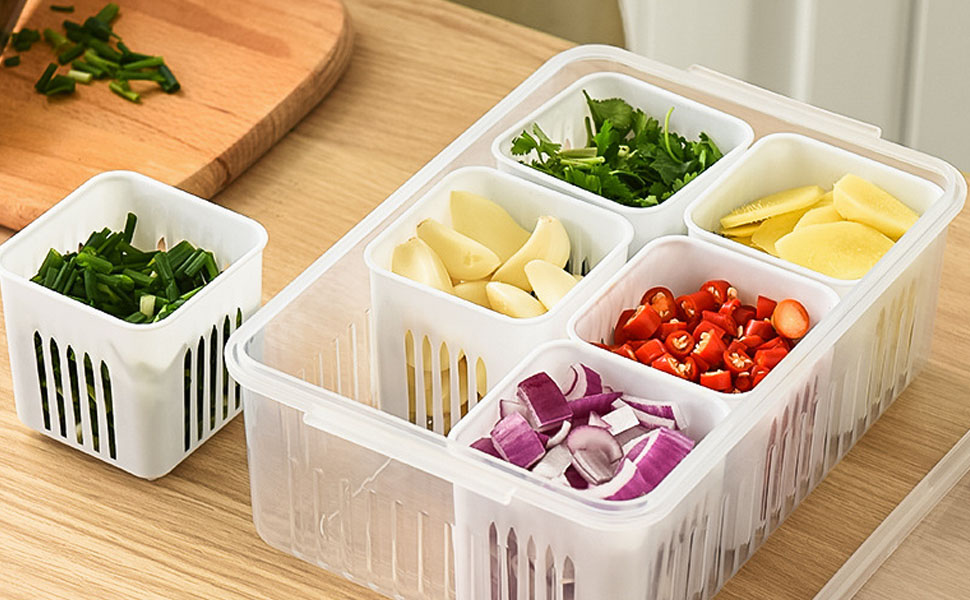 SCSFCVIUS Fresh Herb Keeper Cilantro Containers 6 Pods