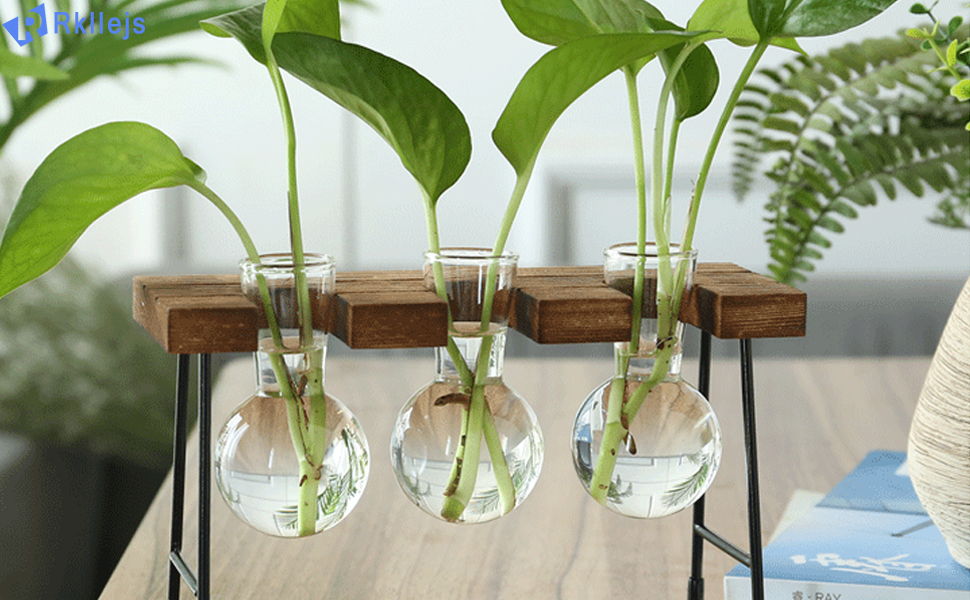 Hydroponic Glasvase, Hydroponische Vase, Desktop Plant Terrarium Glas