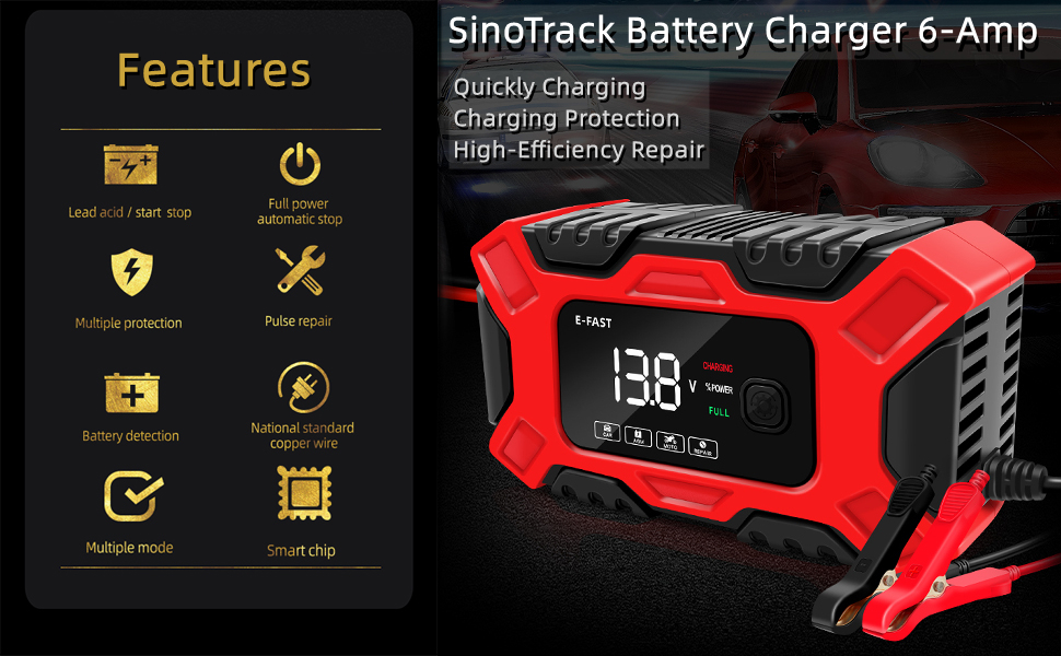 SinoTrack Battery Charger 6-Amp