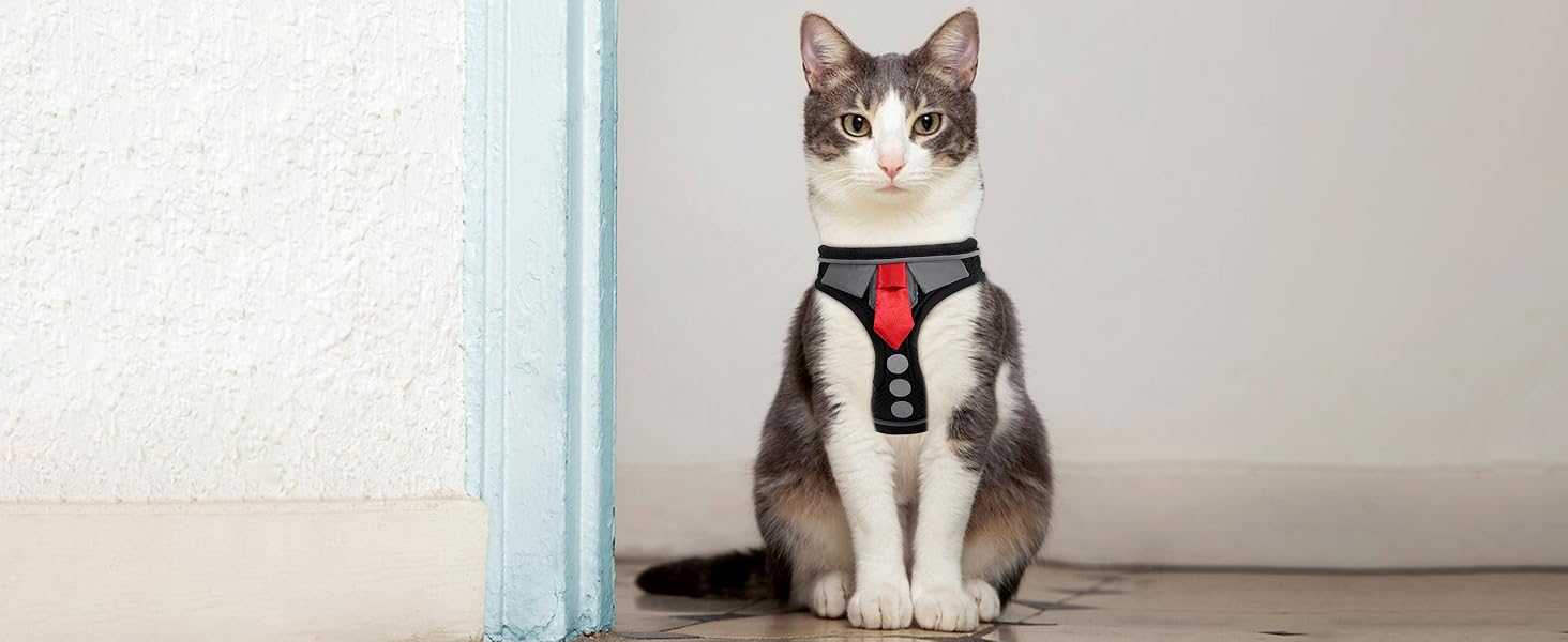 cat harness