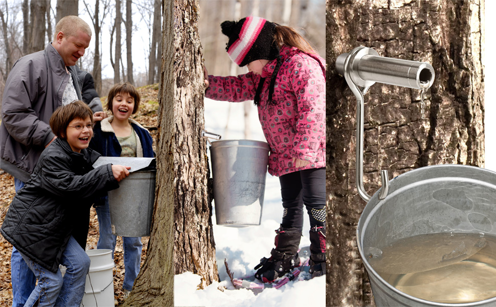 YEOSLL Maple Syrup Tapping Kit FoodGrade Stainless Steel
