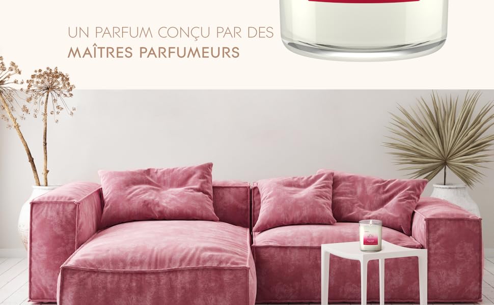 Glade Bougie Parfumée 85h Extra Large, Idée Cadeau, Parfum Wild Rose